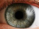 Difluprednate: A Novel Steroid for the Eye
