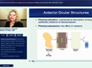 New CME Activity: Rethinking Ocular Antiinfectives, Issue 4