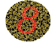 Color Vision Testing: New Methodologies