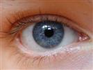 Dry Eye Diagnostics and Treatment