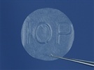 AmbioDisk™ Amniotic Membrane