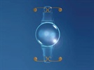 Five Pearls for Intraocular Lens Exchange