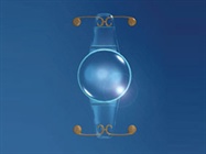 Five Pearls for Intraocular Lens Exchange