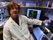 Not Enough Vitamin D Can Hamper Corneal Injury Recovery