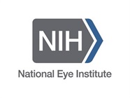 Patient-Derived Stem Cells Used to Study Eye Conditions Related to Albinism