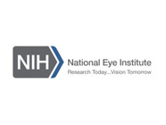 New Surgical Technique In Development for Multiple Retinal Grafts for AMD