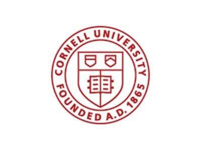  Cornell Scientists Recreate Glaucoma on a Chip to Identify Disease Pathway