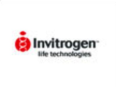 Scoc Medium What Is S.O.C Medium? – Routine Cloning Using Top10 Competent Cells ...