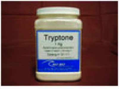 Tryptone pancreatic digest of casein from Mo Bio Laboratories, Inc ...